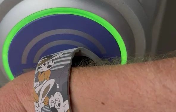 How to Maximize Rewards and Cash Back on Disney Purchases